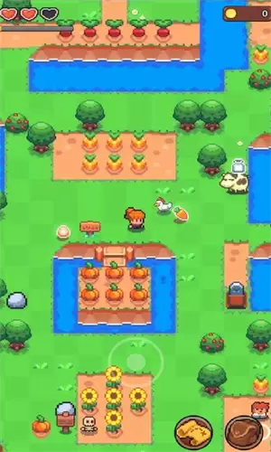 夏日时光探索小岛