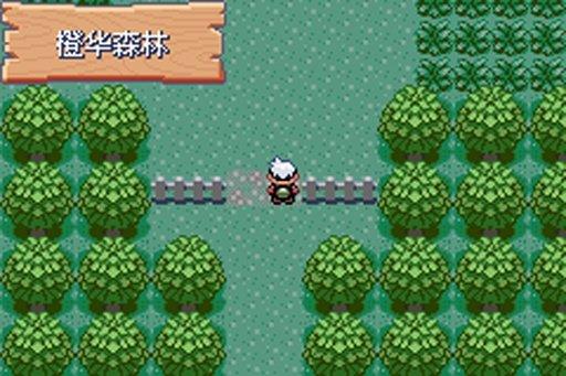 口袋妖怪传说绿宝石
