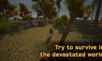 核日落安卓手机版