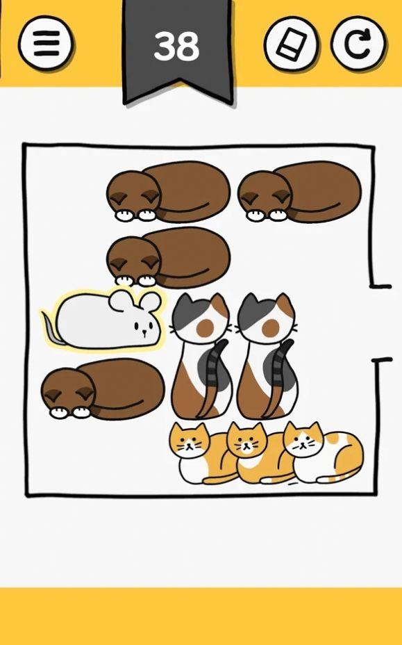 猫块难题最新版