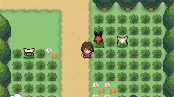 神奇宝贝剑盾无敌版