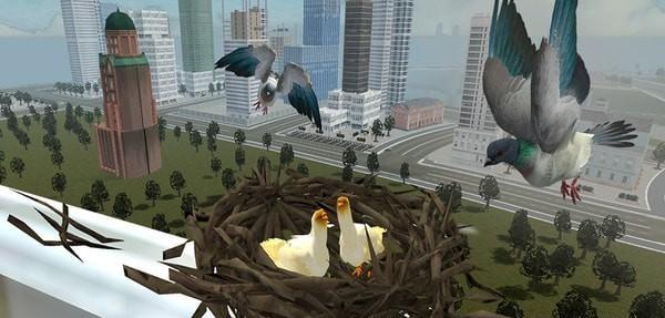 鸽子生存模拟最新版