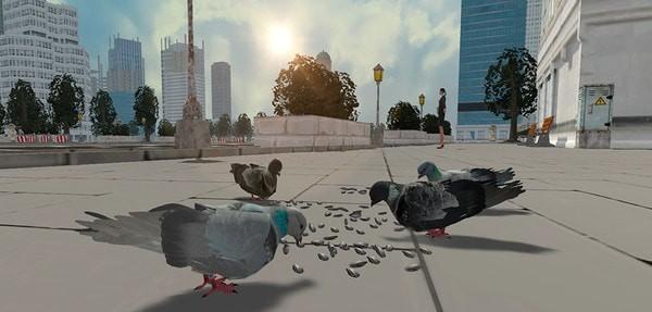 鸽子生存模拟最新版