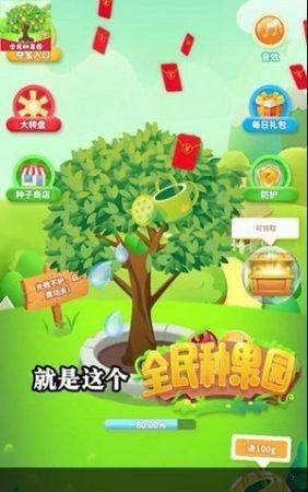 全民种果园红包版