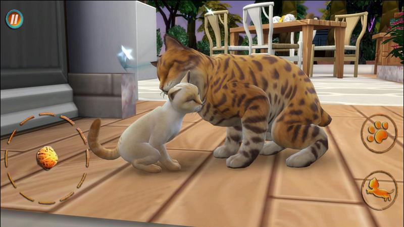 猫咪想恋爱游戏