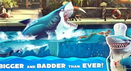 饥饿鲨世界国际服修改版
