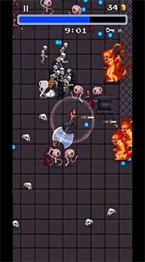 吸血鬼幸存者3手机版