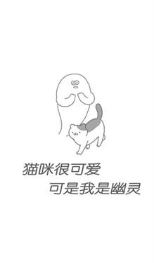 猫咪很可爱正版