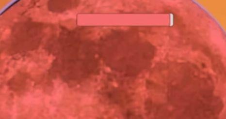 迈特凯幸存者手游