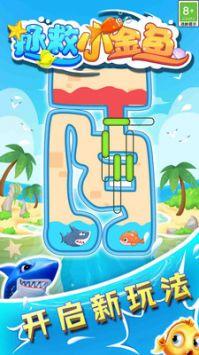 拯救小金鱼游戏安装