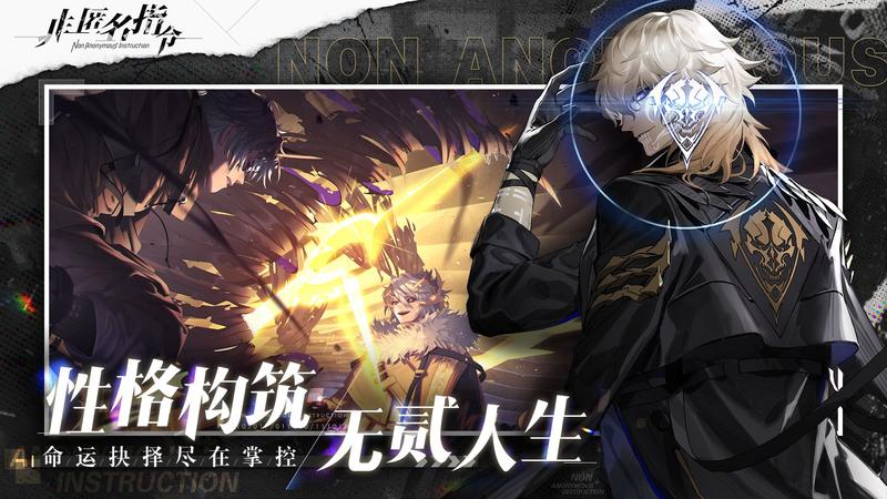 非匿名指令夜骑士