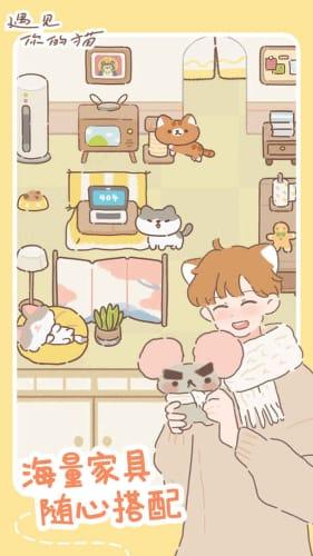 遇见我的猫游戏