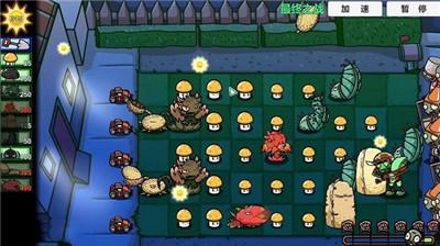 宅宅萝卜pvzbt小蛙同款