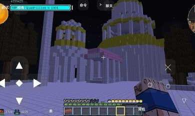 我的世界龙珠生存