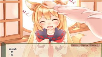 我与空狐的日常最新