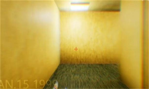 打开后室2联机版