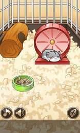 我养仓鼠贼6最新版本