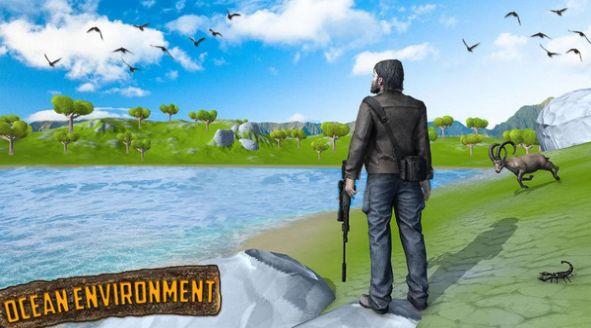 鸟类猎人狙击手游戏