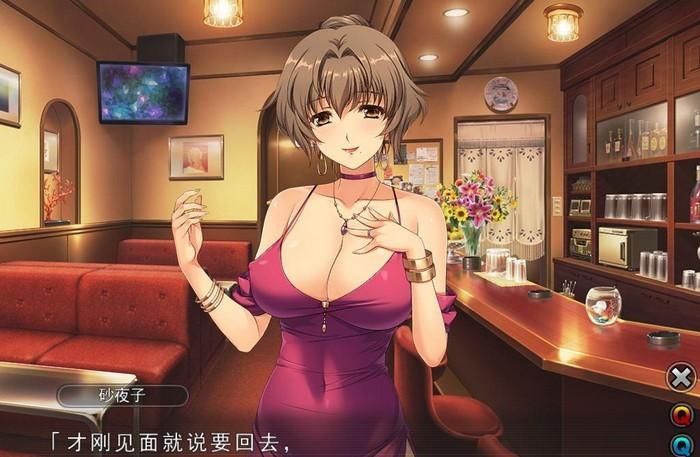 妻中蜜完整中文汉化版