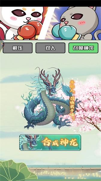 双人对决赛正版