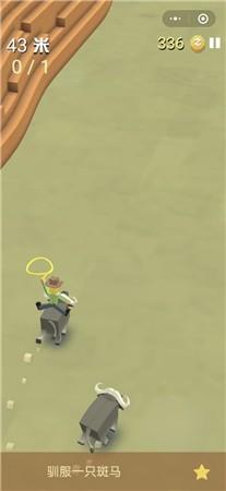 疯狂动物园水世界