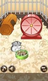 我养仓鼠贼6游戏