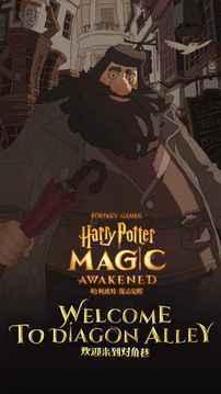 哈利波特魔法觉醒网易正版