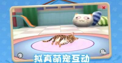 养了个猫游戏