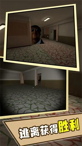 奥本加躲猫猫无广告修改