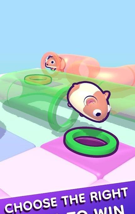 管道仓鼠完整版