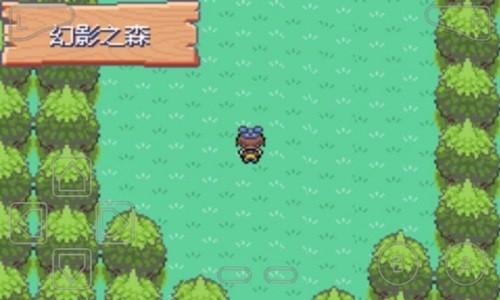 口袋妖怪漆黑的魅影gba