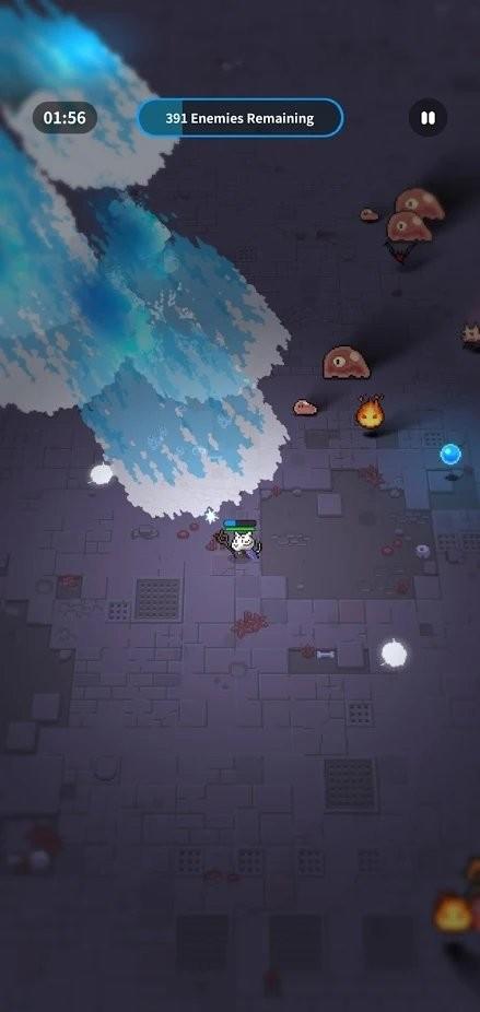 动物巫师免费版