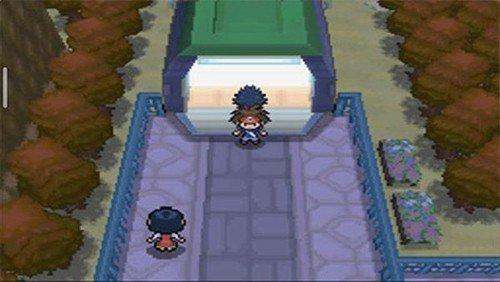 口袋妖怪超透黑2手机版