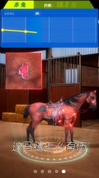 赛马也疯狂手游