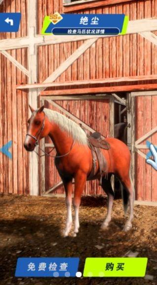 赛马也疯狂手游