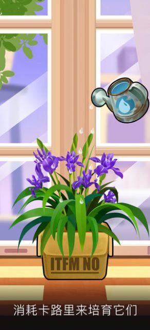 我的花园赚钱游戏免费
