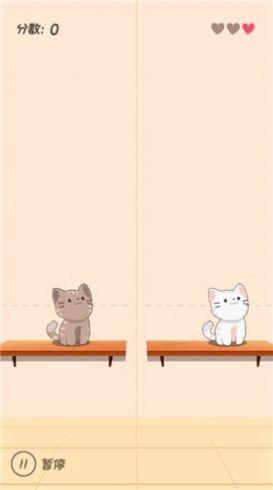 猫猫学园