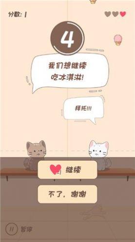 猫猫学园