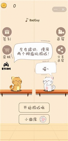 猫猫学园