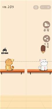 猫猫学园