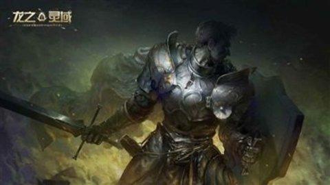 龙之灵域测试服