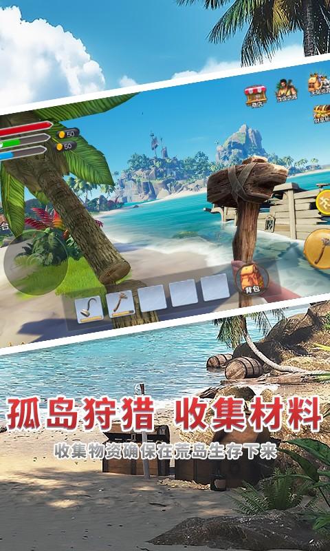 海贼世纪大冒险游戏