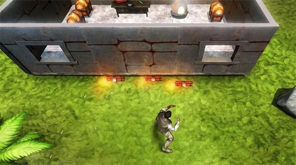 爱豆农场单机版