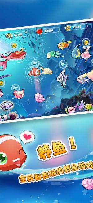 开心水族箱正版安装