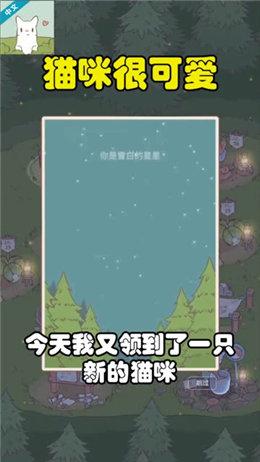 猫咪很可爱正版