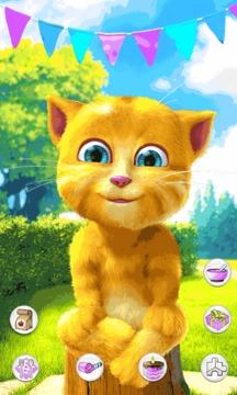 会说话的金杰猫