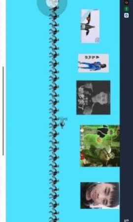 坤坤和蓝色妖姬