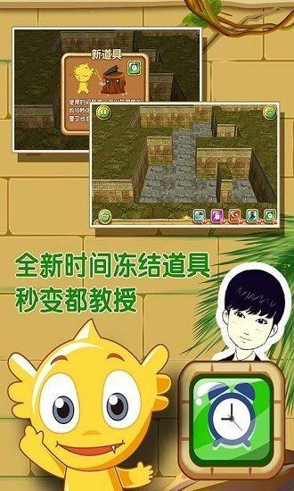 疯狂的麦咭安卓版