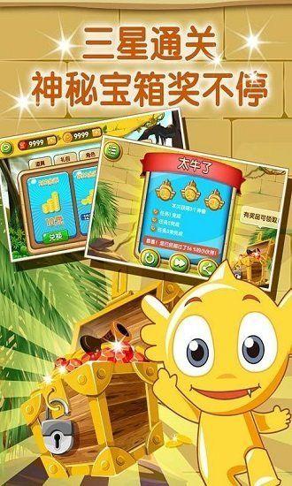 疯狂的麦咭安卓版