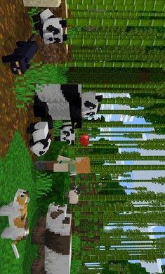 我的世界国际基岩版